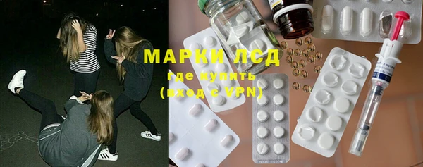 шишки Слюдянка
