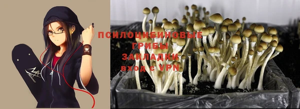 шишки Слюдянка