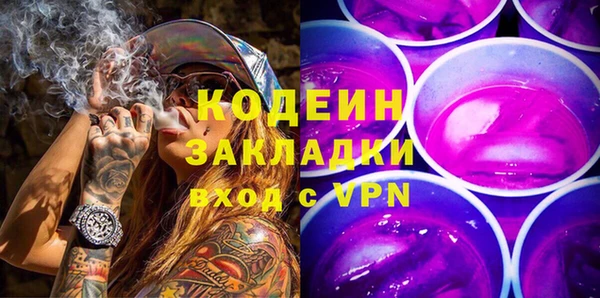 шишки Слюдянка