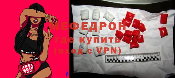 шишки Слюдянка