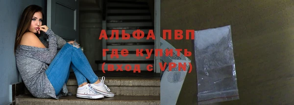 шишки Слюдянка