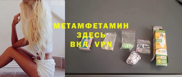 шишки Слюдянка