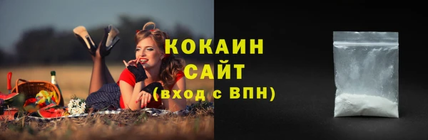 шишки Слюдянка