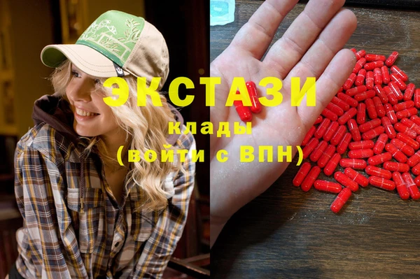 шишки Слюдянка