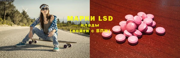 шишки Слюдянка