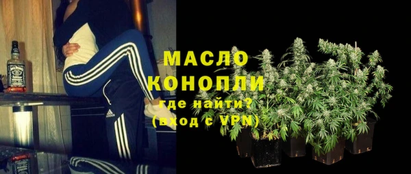шишки Слюдянка