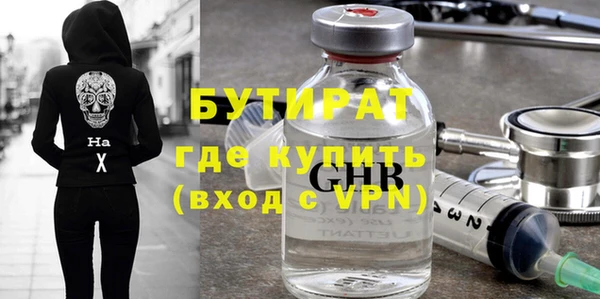 шишки Слюдянка
