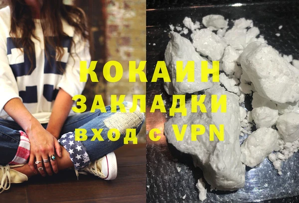 шишки Слюдянка