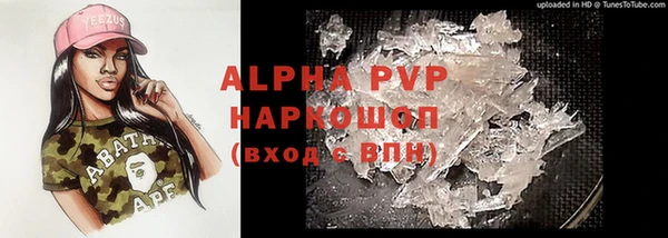 шишки Слюдянка